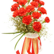 Carnations Magic
