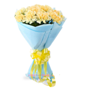 Carnation-Superb-12-Yellow-Carnation