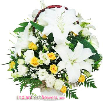 Expression of Delight